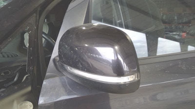 2021 Kia Sedona Mirror, Door