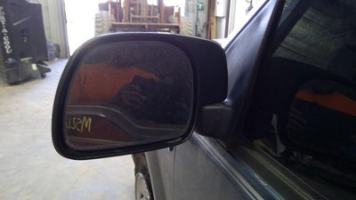 2002 Ford Truck-F250 Super Duty Mirror Door