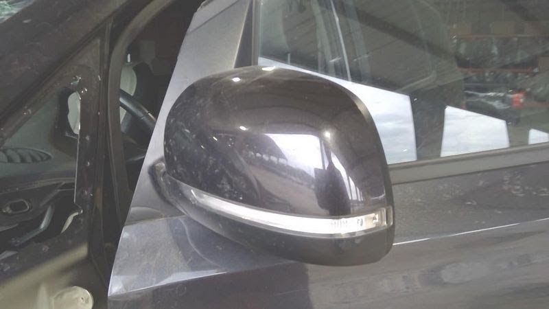 2021 Kia Sedona Mirror, Door