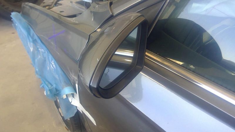 2019 Volkswagen Jetta Mirror Door